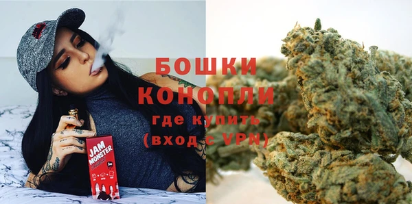 шишки Нефтекумск